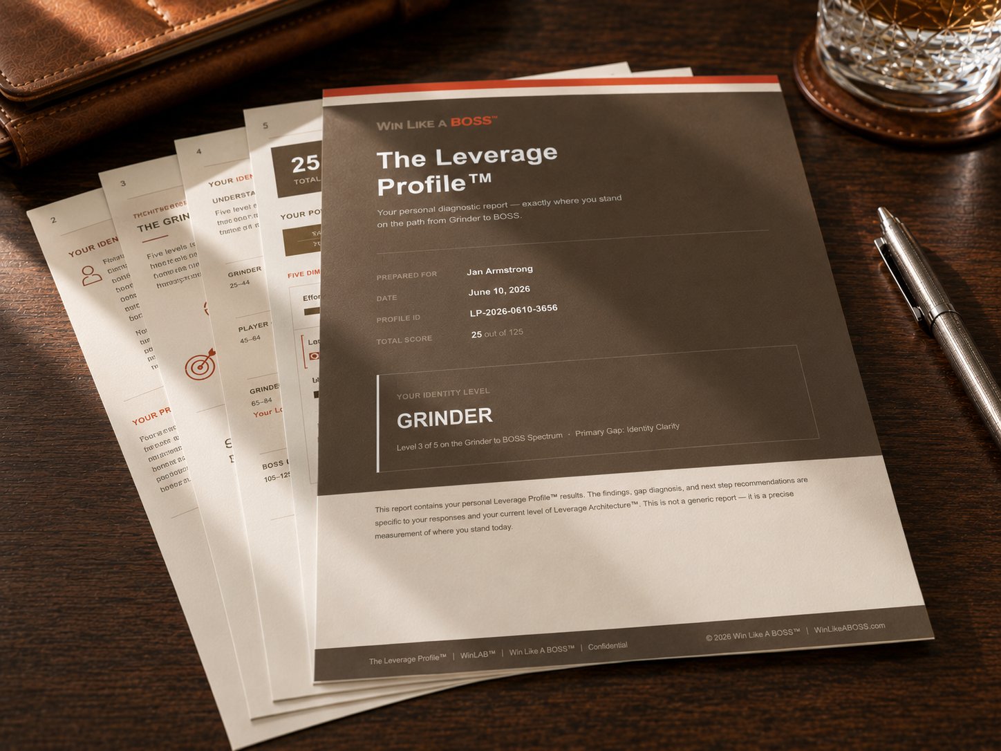 The Leverage Profile™ — Personal Diagnostic Report